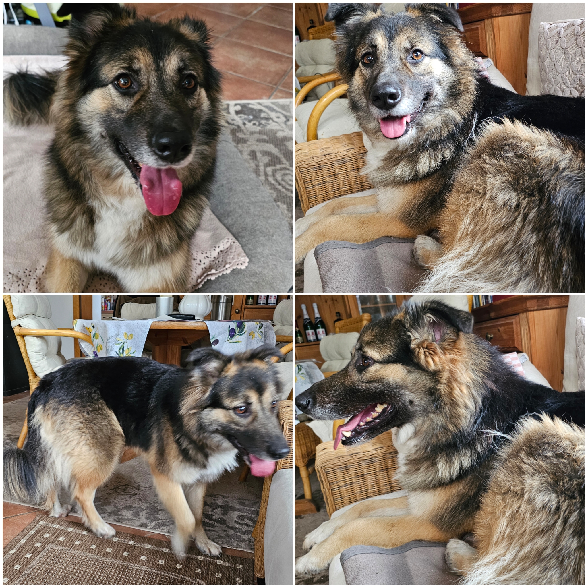 Lucy's New Home 01.jpg